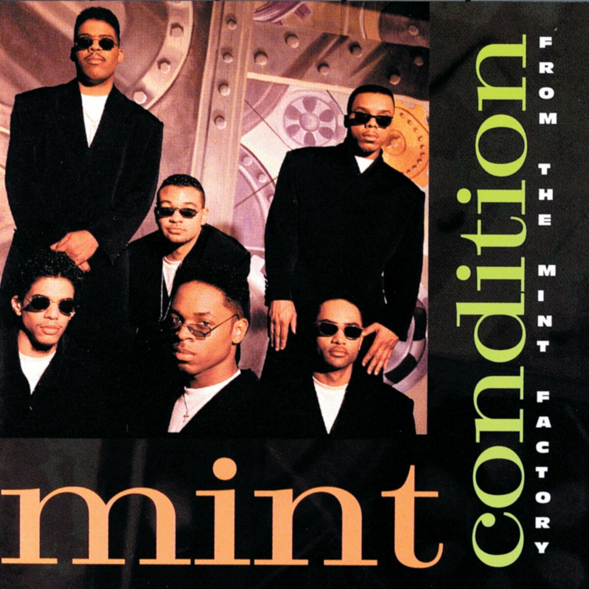 Album cover of From The Mint Factory