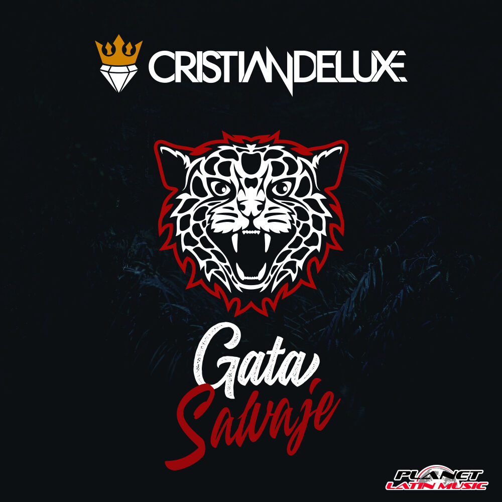 Picture of Gata Salvaje
