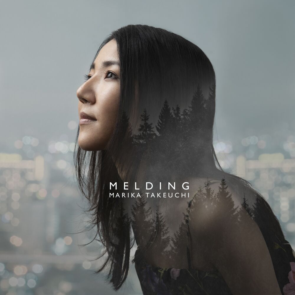 Picture of Melding