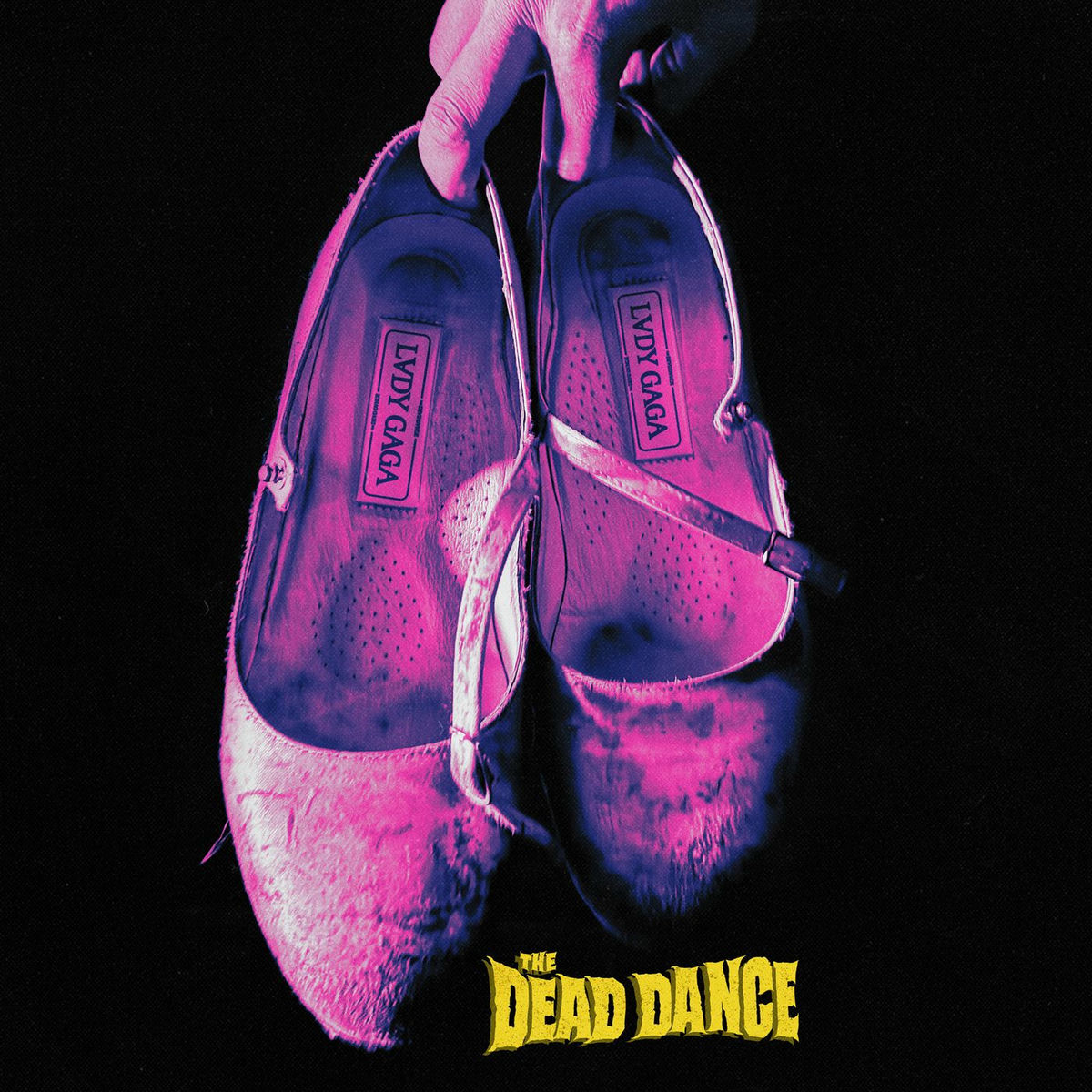 Album cover of The Dead Dance