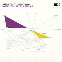 Cover of Pavages pour l'aile d'un papillon