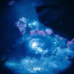 Cover of Sonar