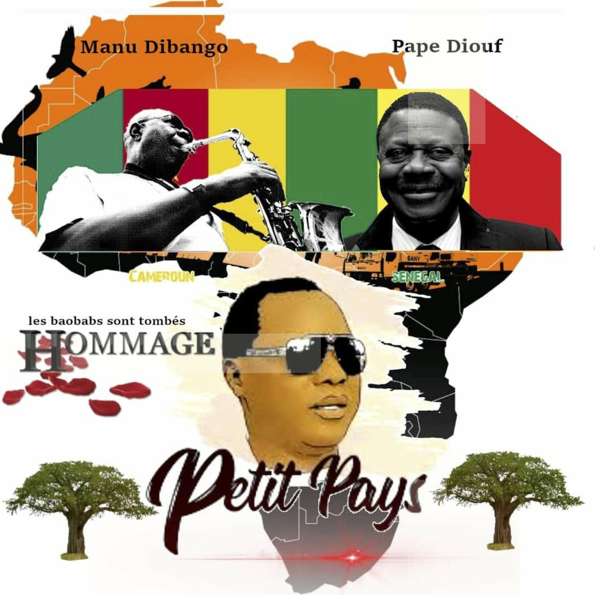 Album cover of Les baobabs sont tombés (Hommage)