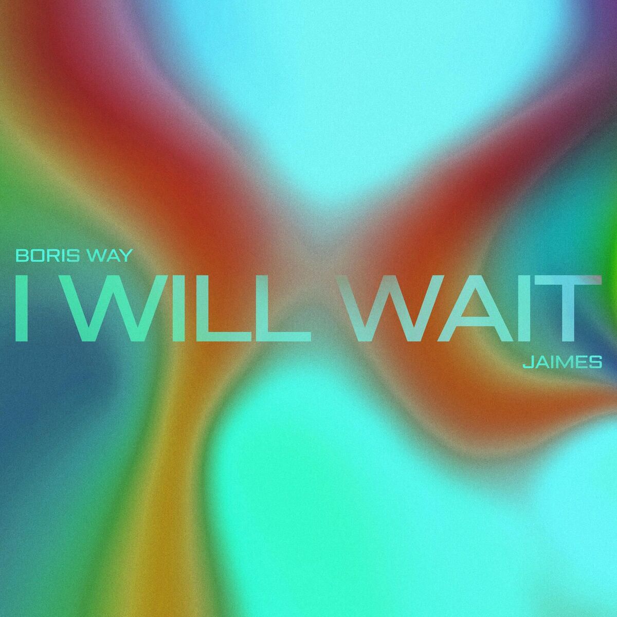Album cover of I Will Wait