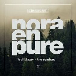 Cover of Trailblazer - The Remixes