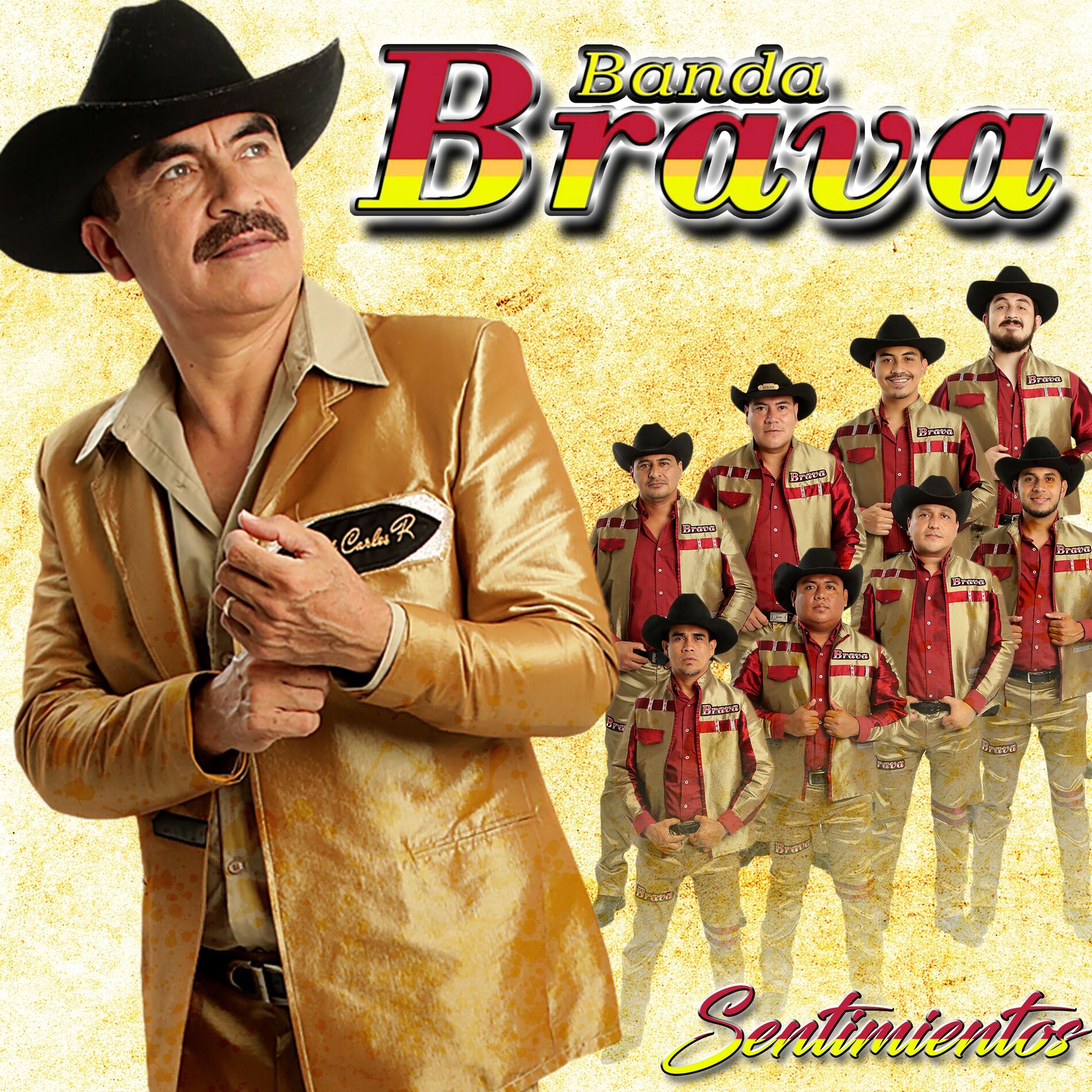 Album cover of Sentimientos