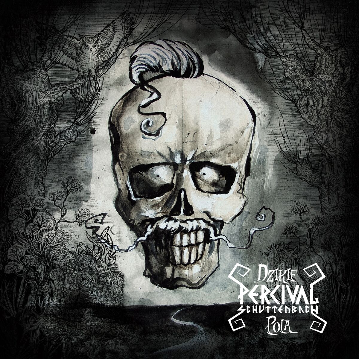 Album cover of Dzikie pola