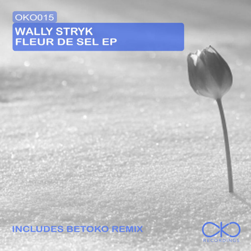 Picture of Wally Stryk - Fleur De Sel Ep (MP3 EP)