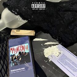 Cover of Malinconia rmx