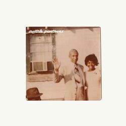 Cover of Switch Partners