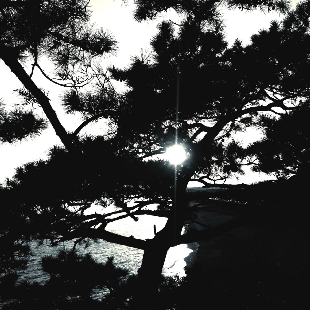 Album cover of Welcome