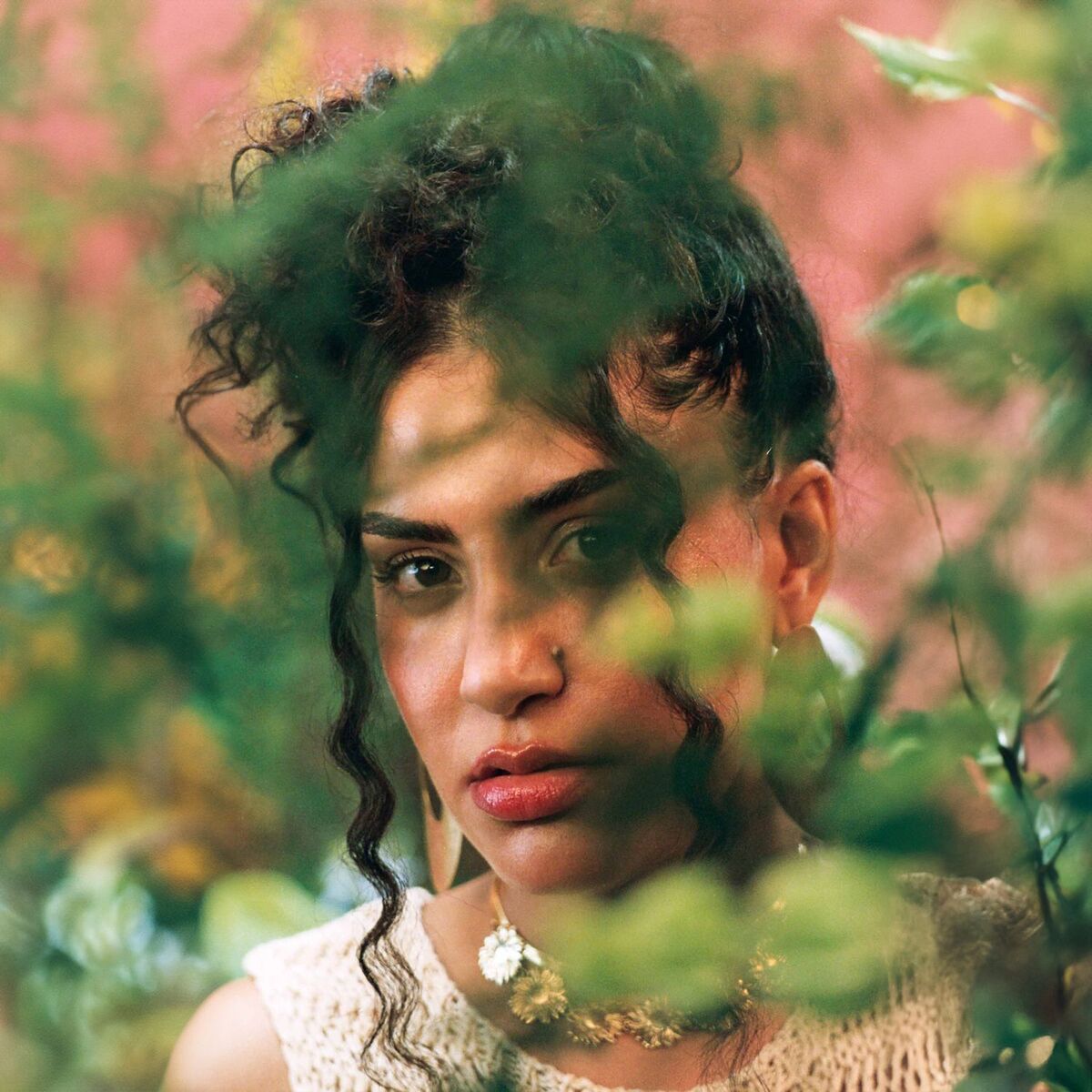 Album cover of Adiós a la Rama