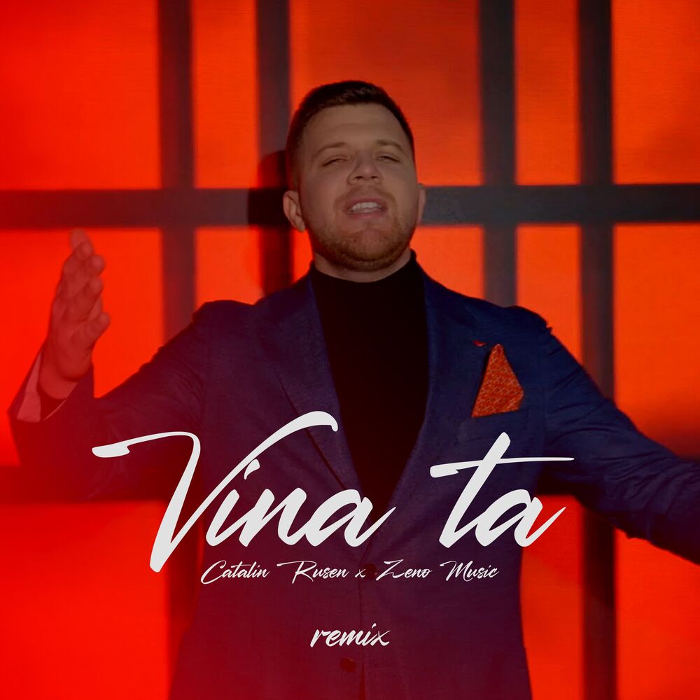 Picture of Vina ta (Remix)