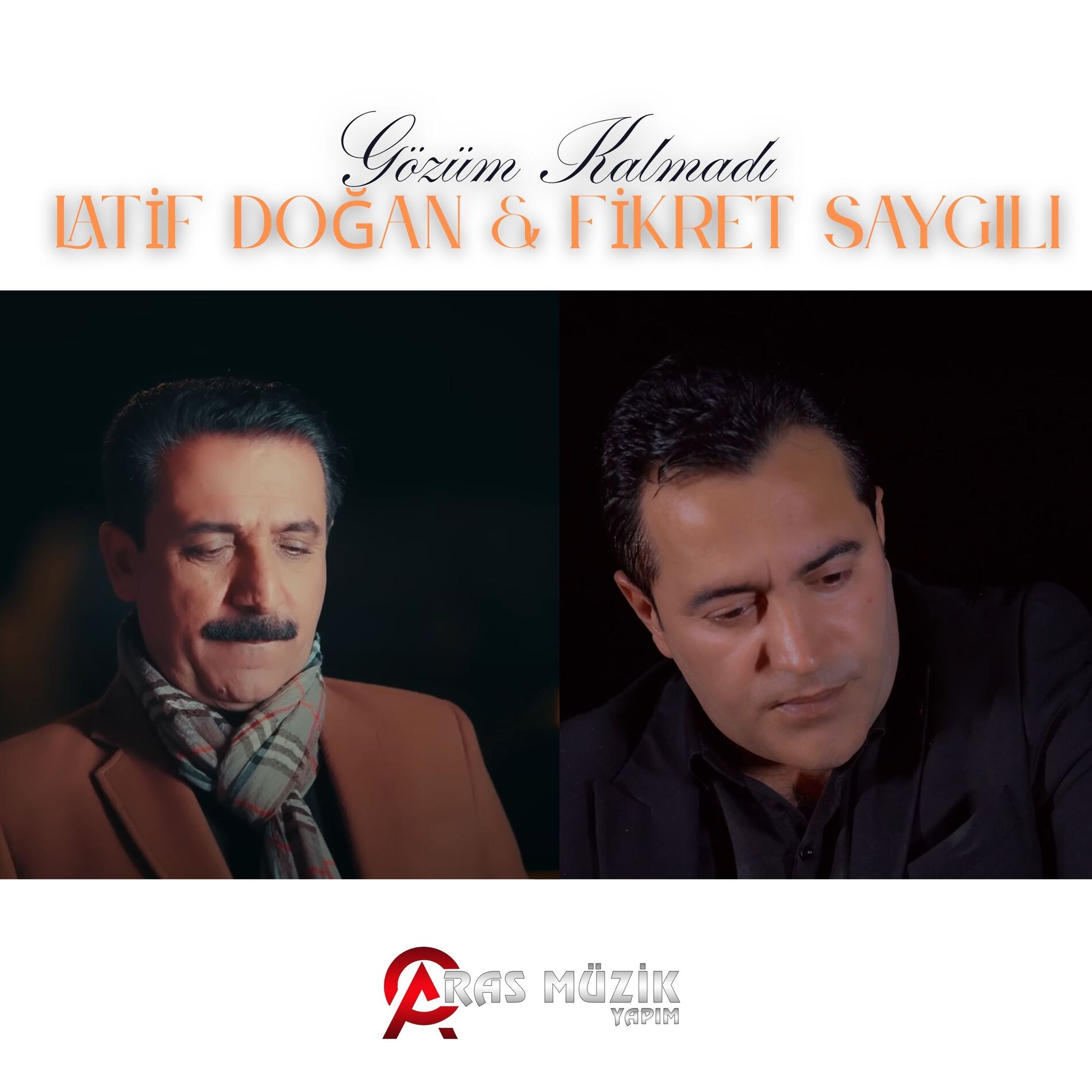 Album cover of Gözüm Kalmadı