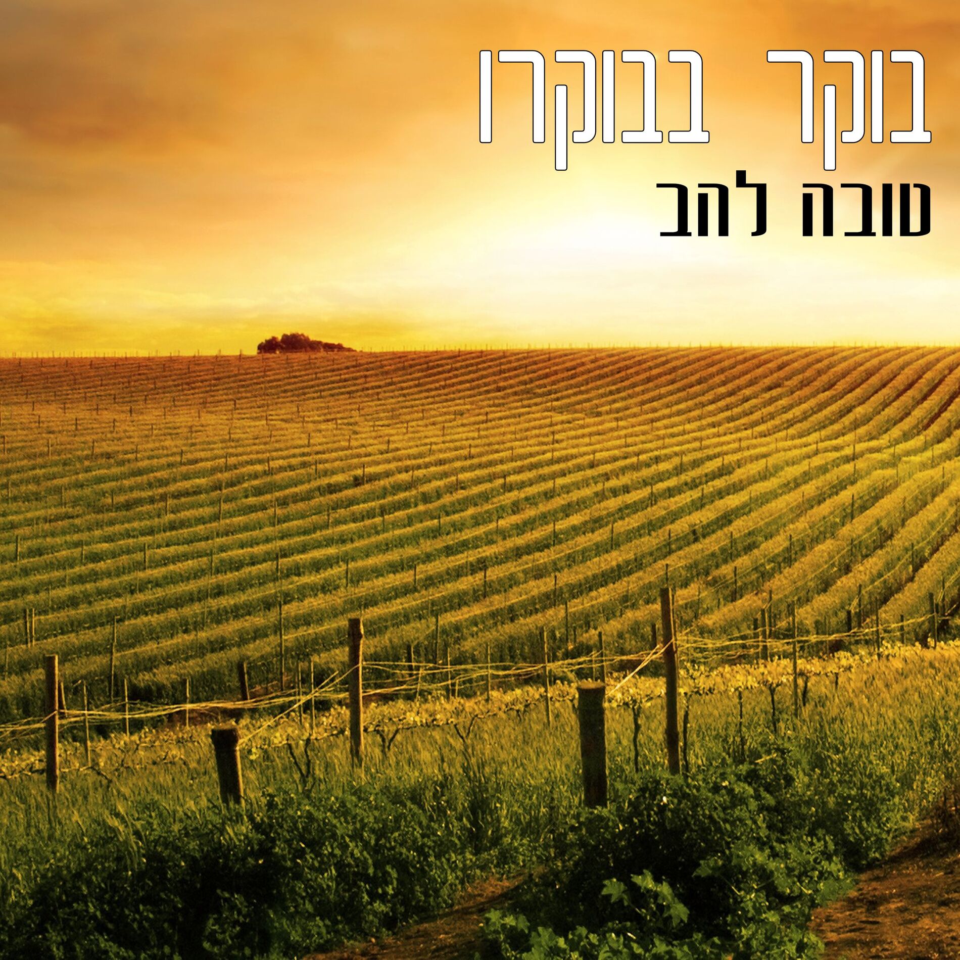 Album cover of בוקר בבוקרו