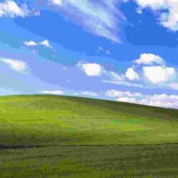 XP