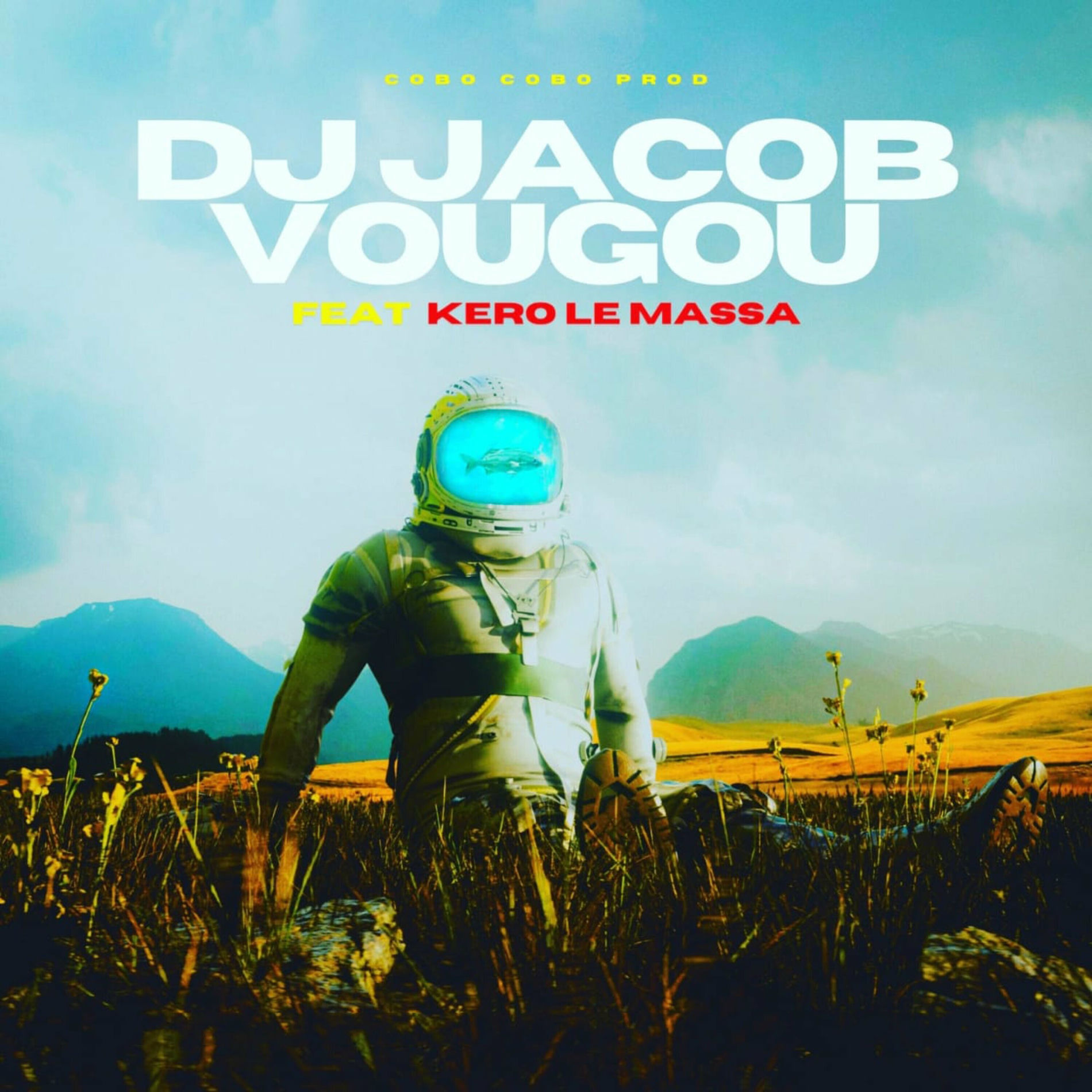 Album cover of Vougou