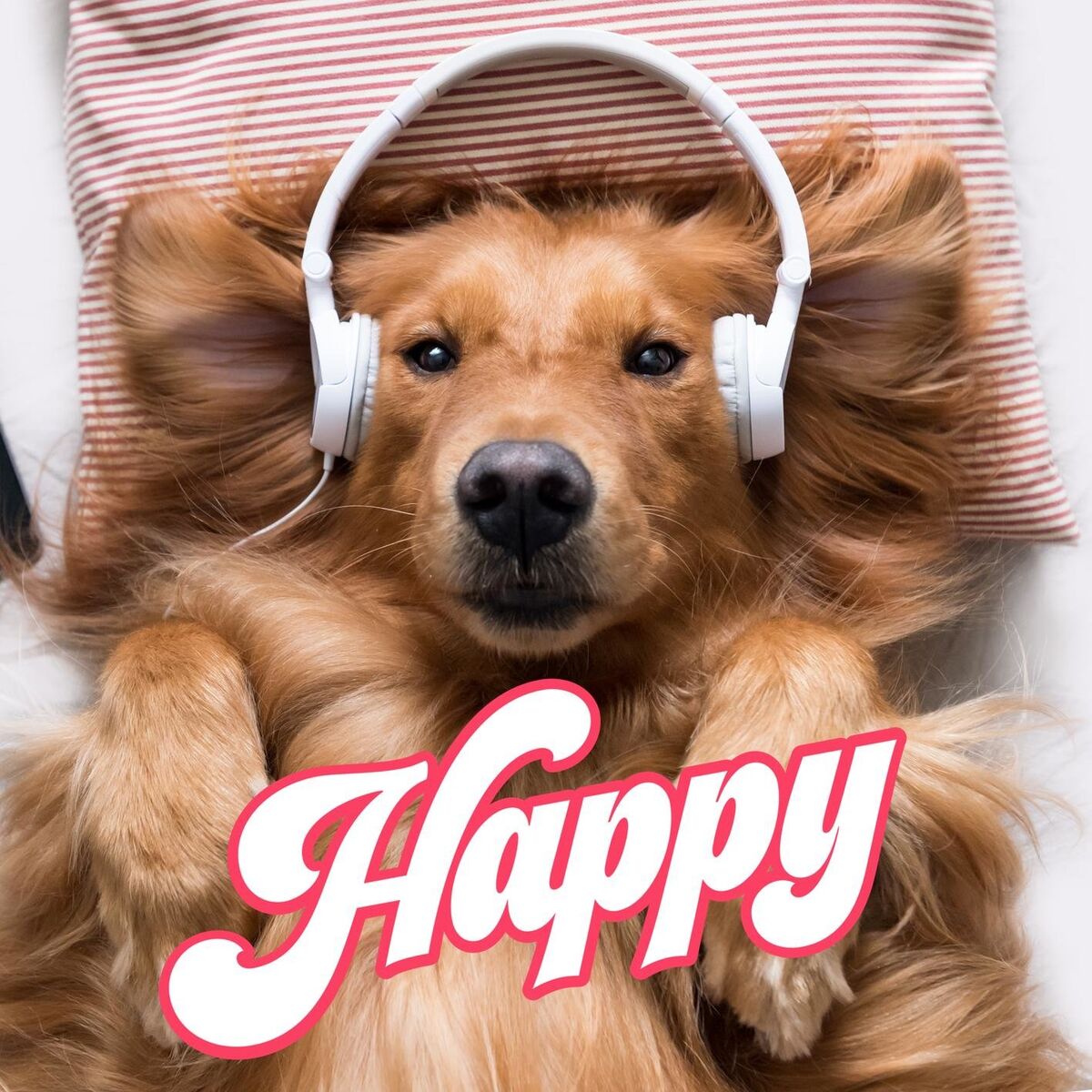 Album cover of Happy