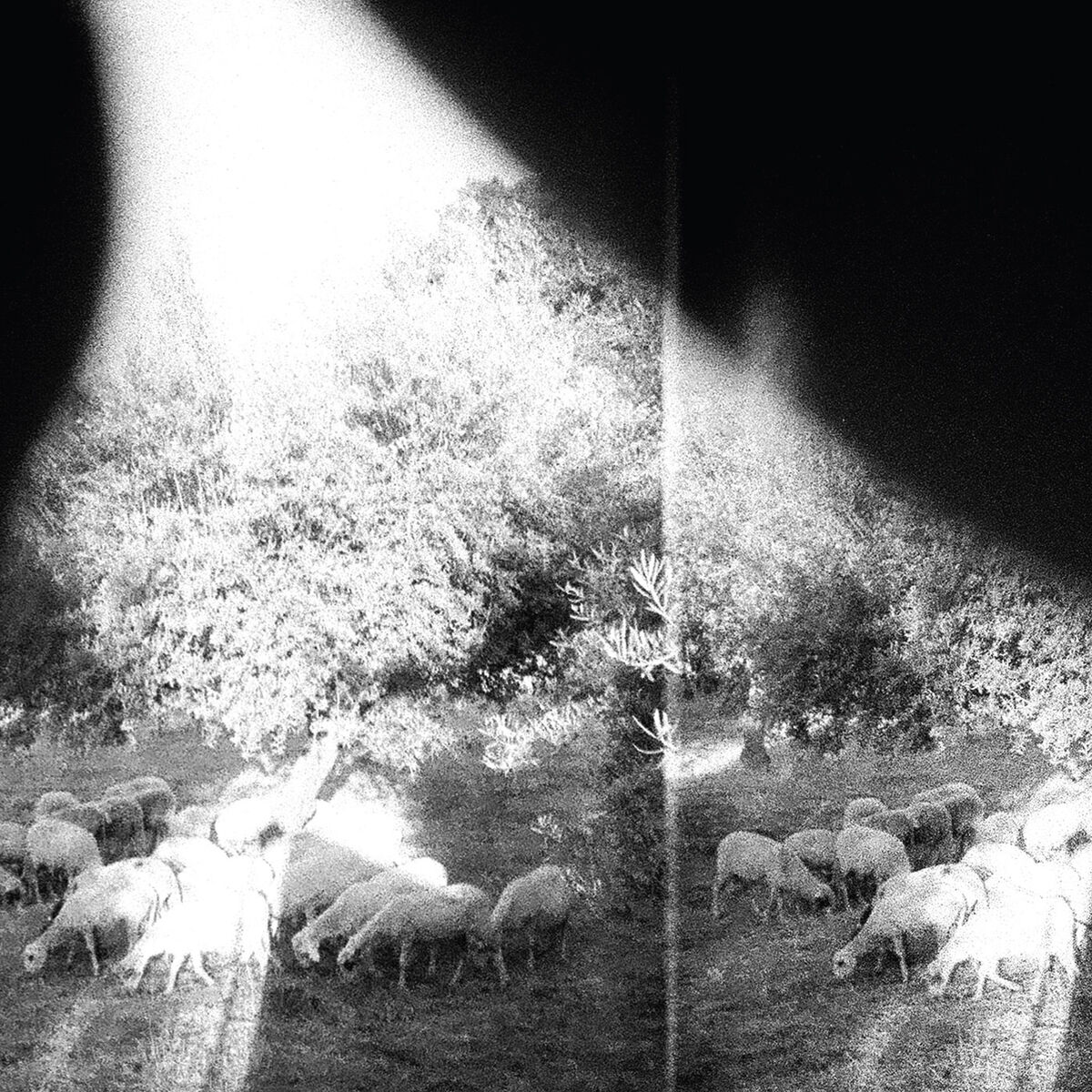 Album cover of Peasantry or ‘Light! Inside of Light!’