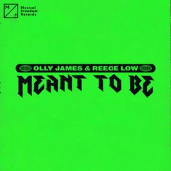 Cover of Meant To Be