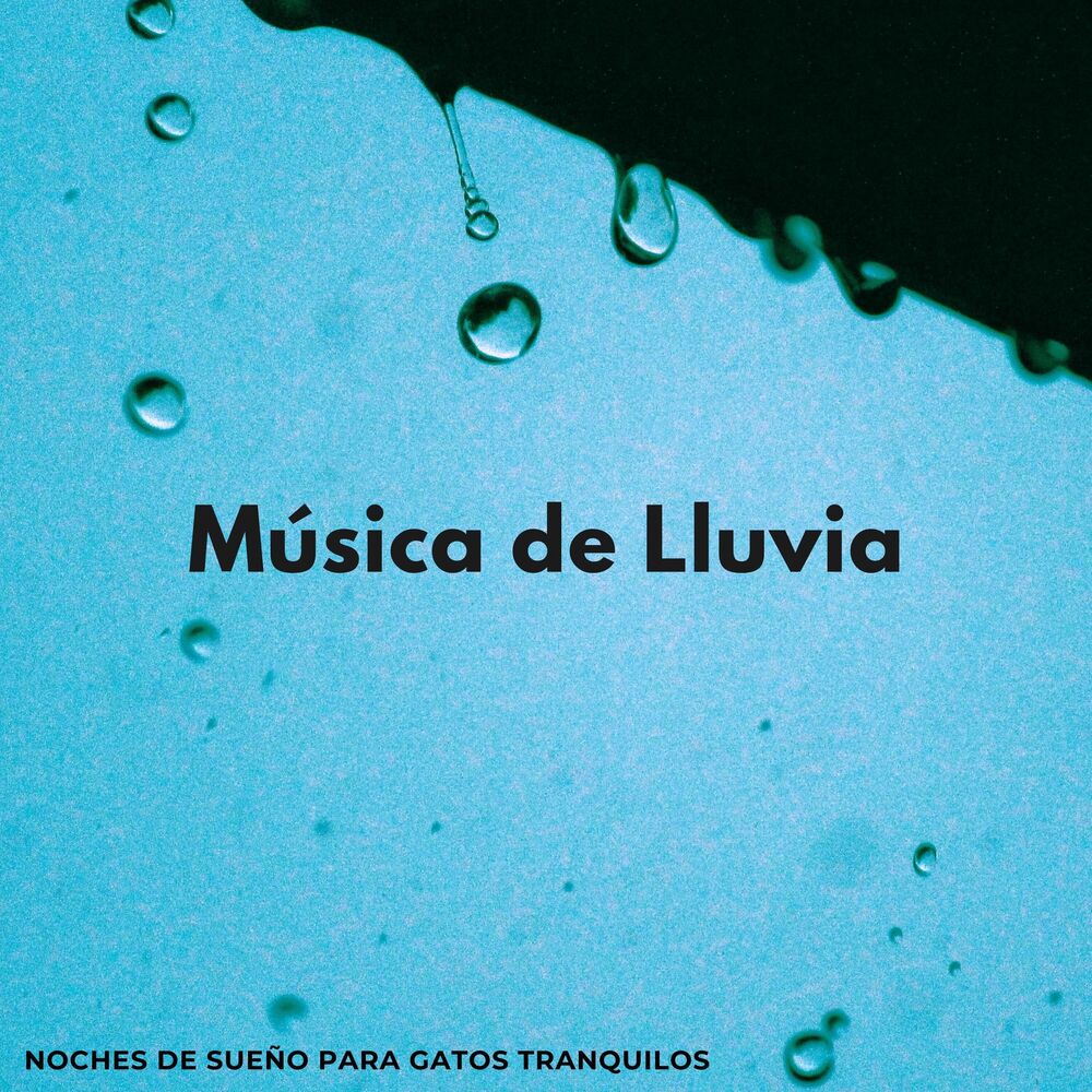 Picture of Música De Lluvia: Noches De Sueño Para Gatos Tranquilos