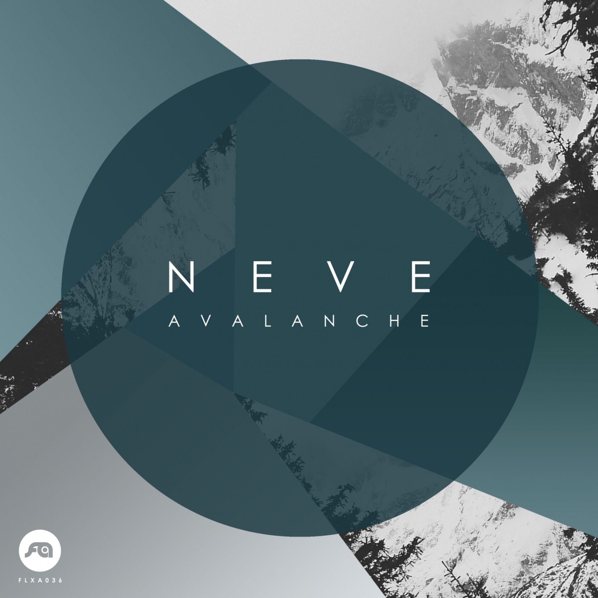 Album cover of Avalanche
