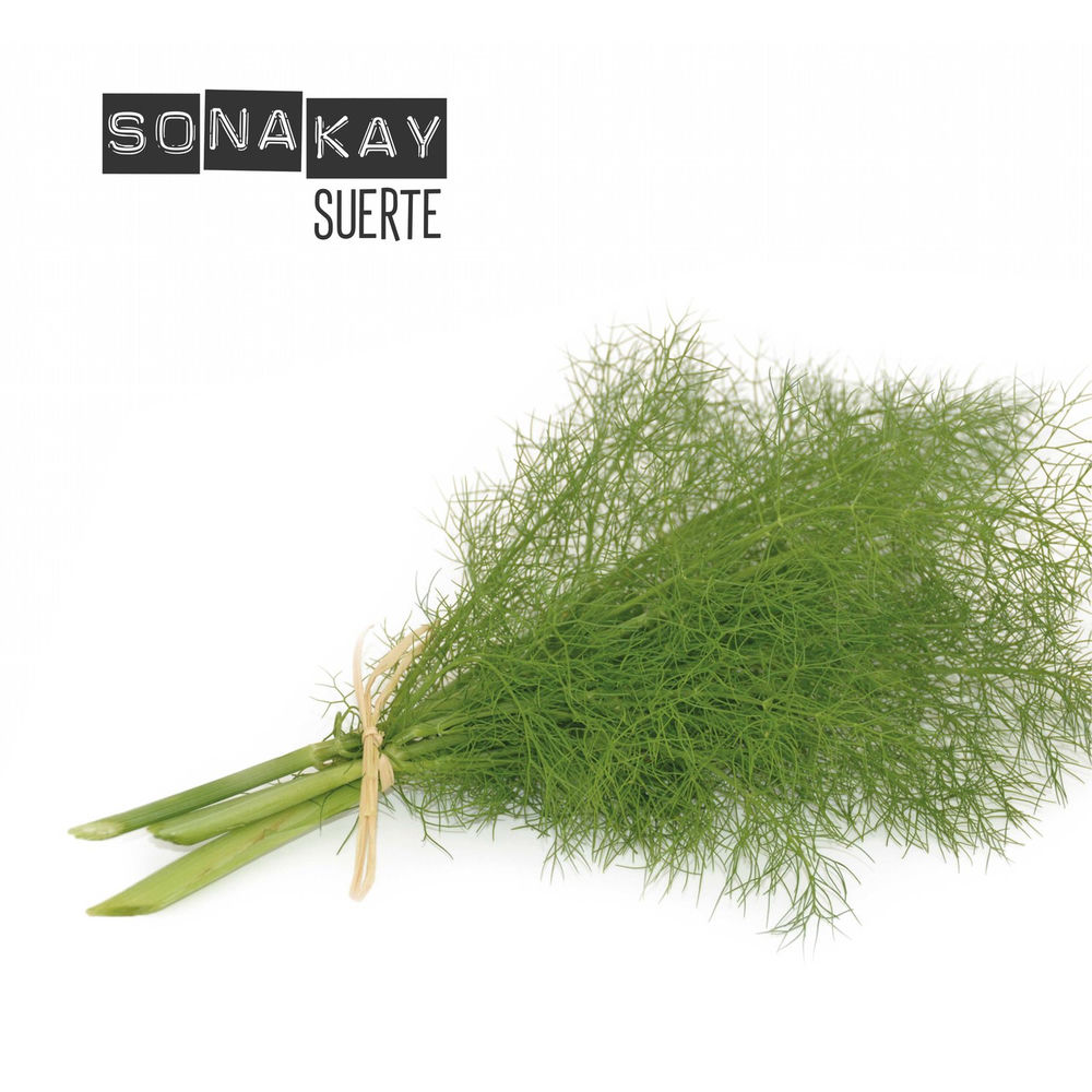 Portada de Suerte
