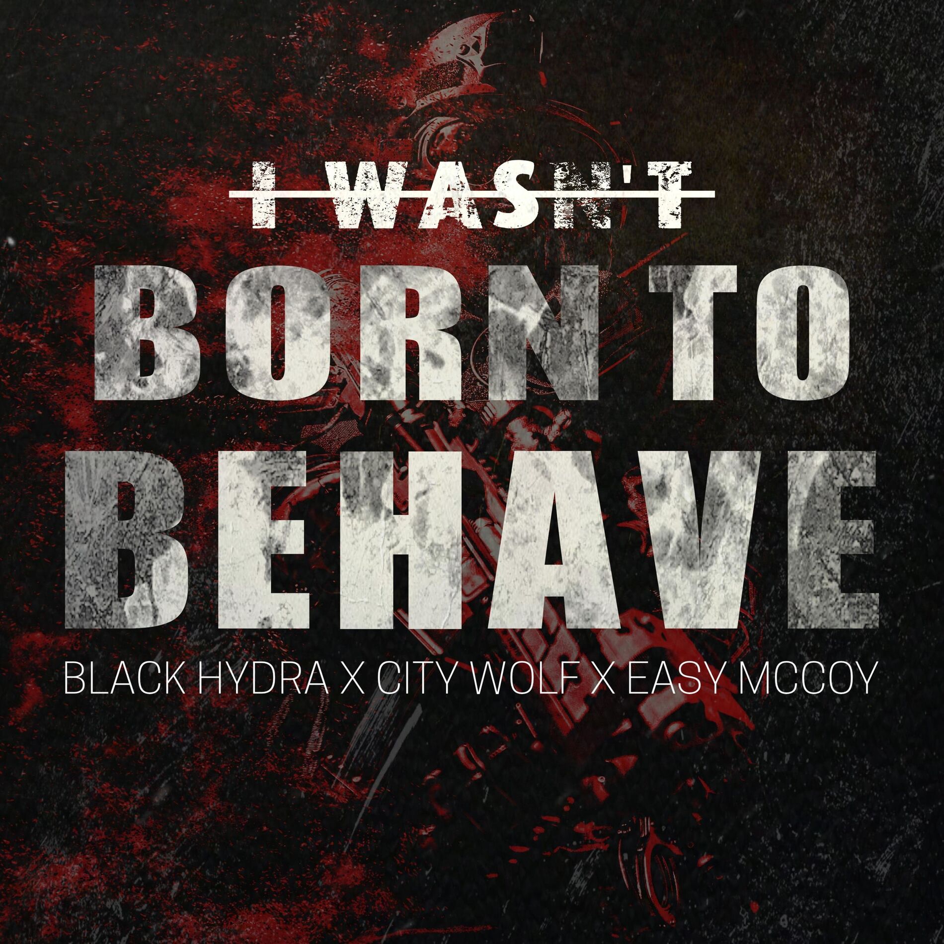 Album cover of I Wasn't Born To Behave
