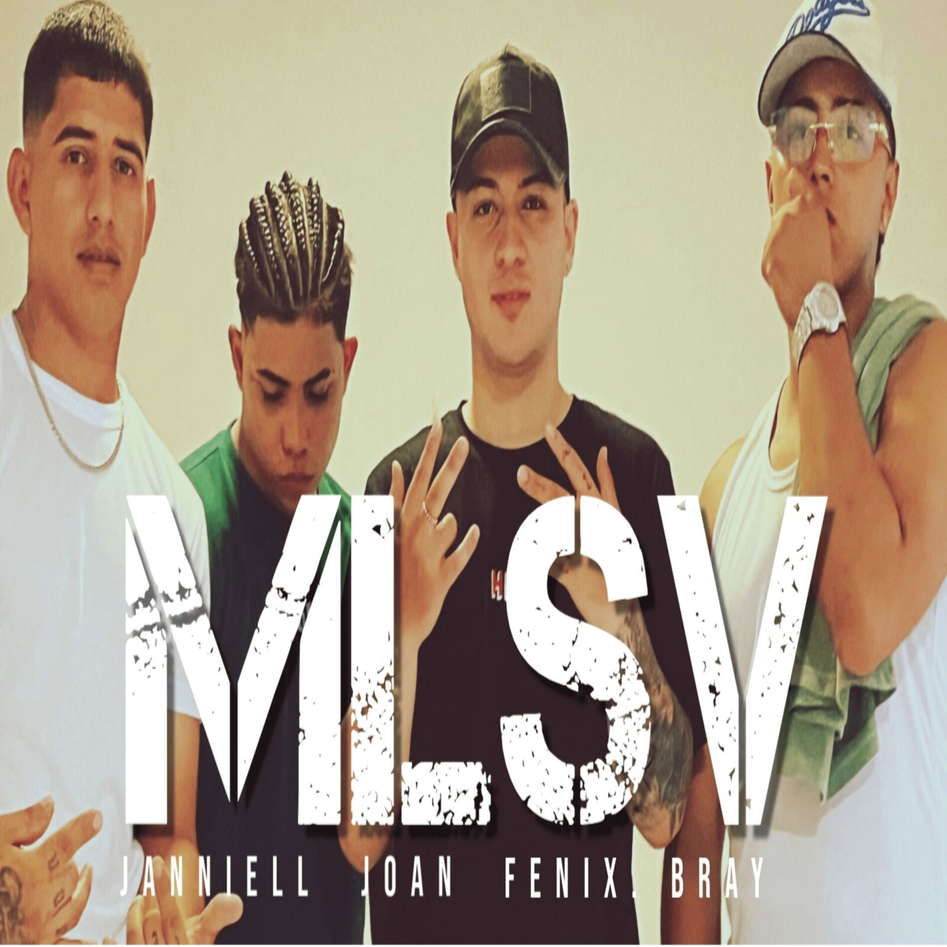 Album cover of Mlsv