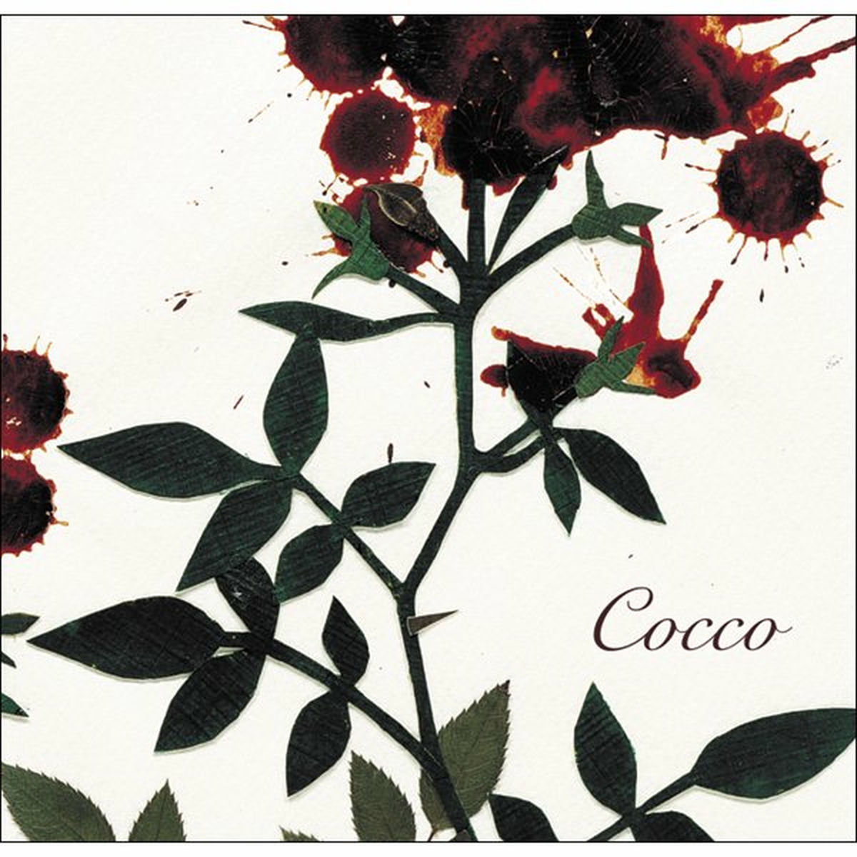 Cocco: albums, songs, concerts | Deezer