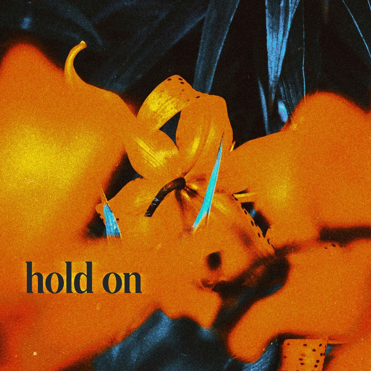 Album cover of Hold On