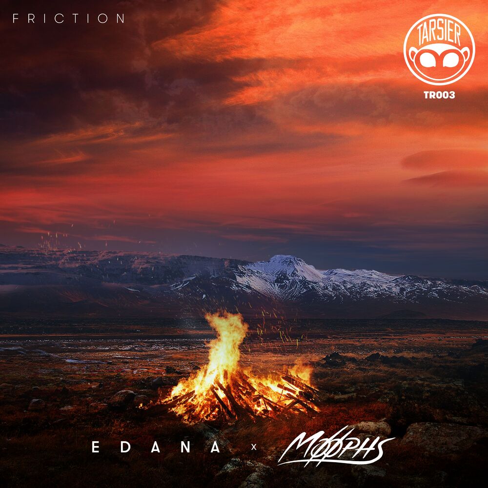 Picture of Friction