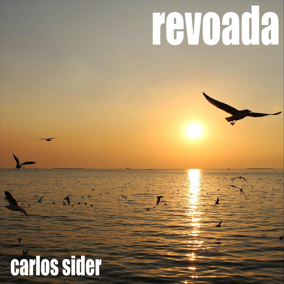 Album cover of Revoada