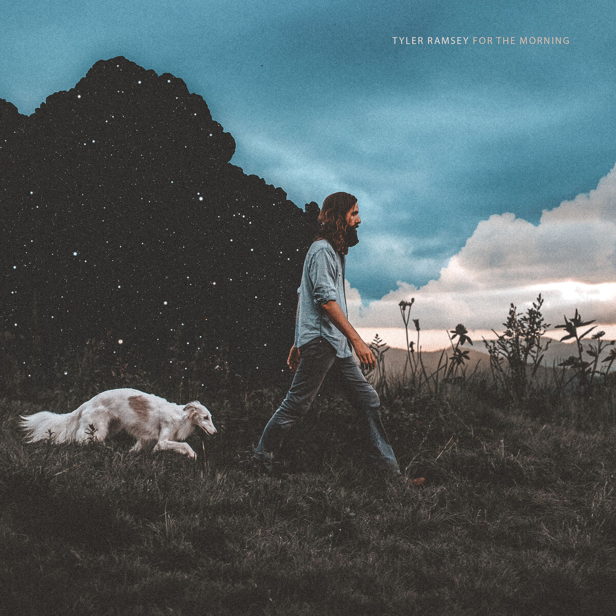 Album cover of A Dream Of Home