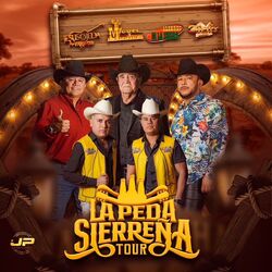 music cover