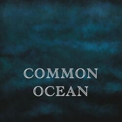 Cover of Common Ocean (Live at Salford)