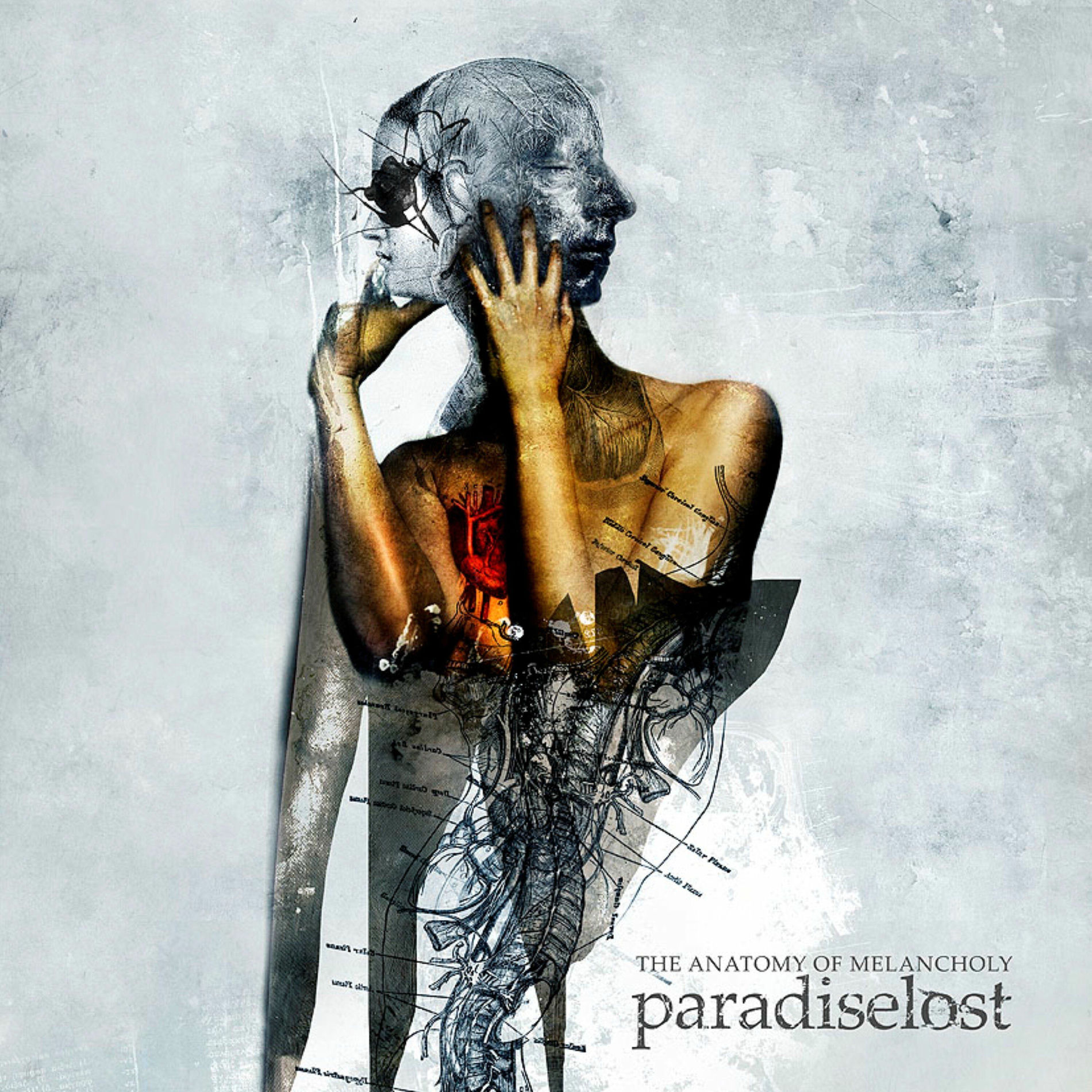 Album cover of The Anatomy Of Melancholy (Live Album)