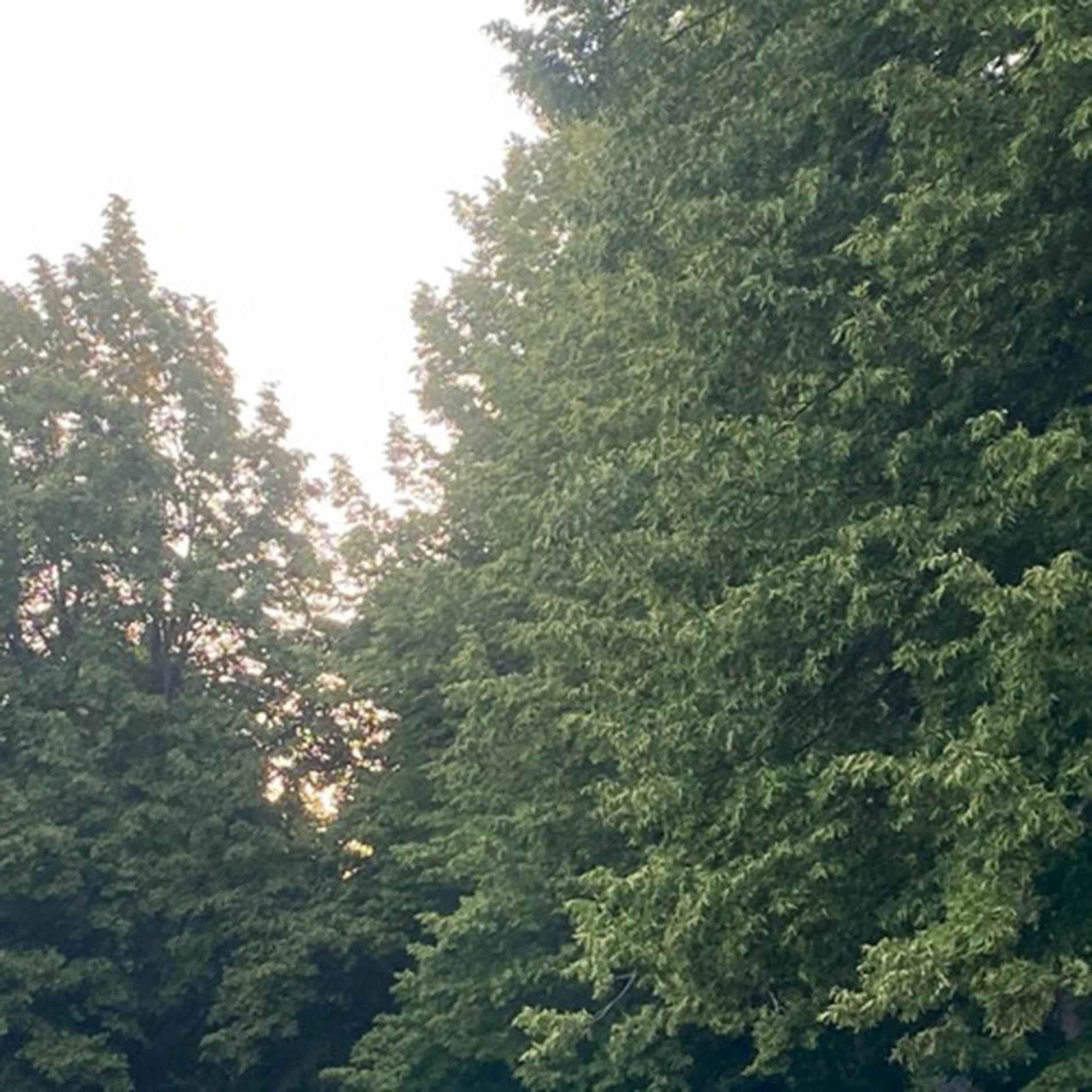 Album cover of Summer's Over