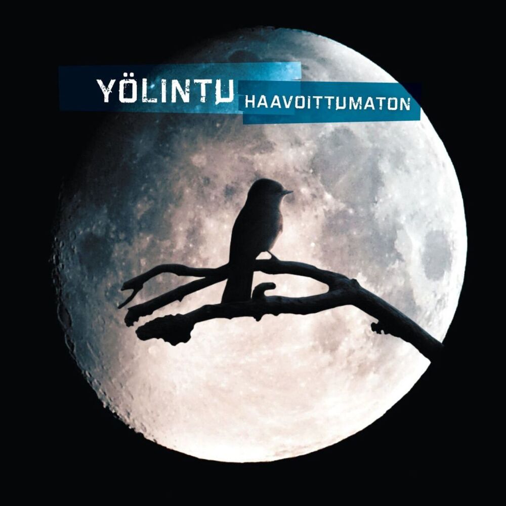 Picture of Haavoittumaton