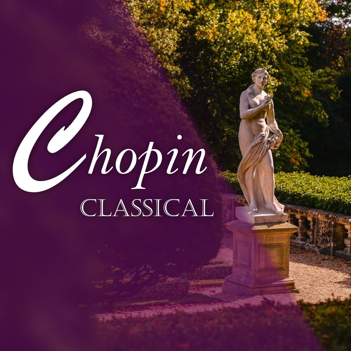 Album cover of Chopin Classical