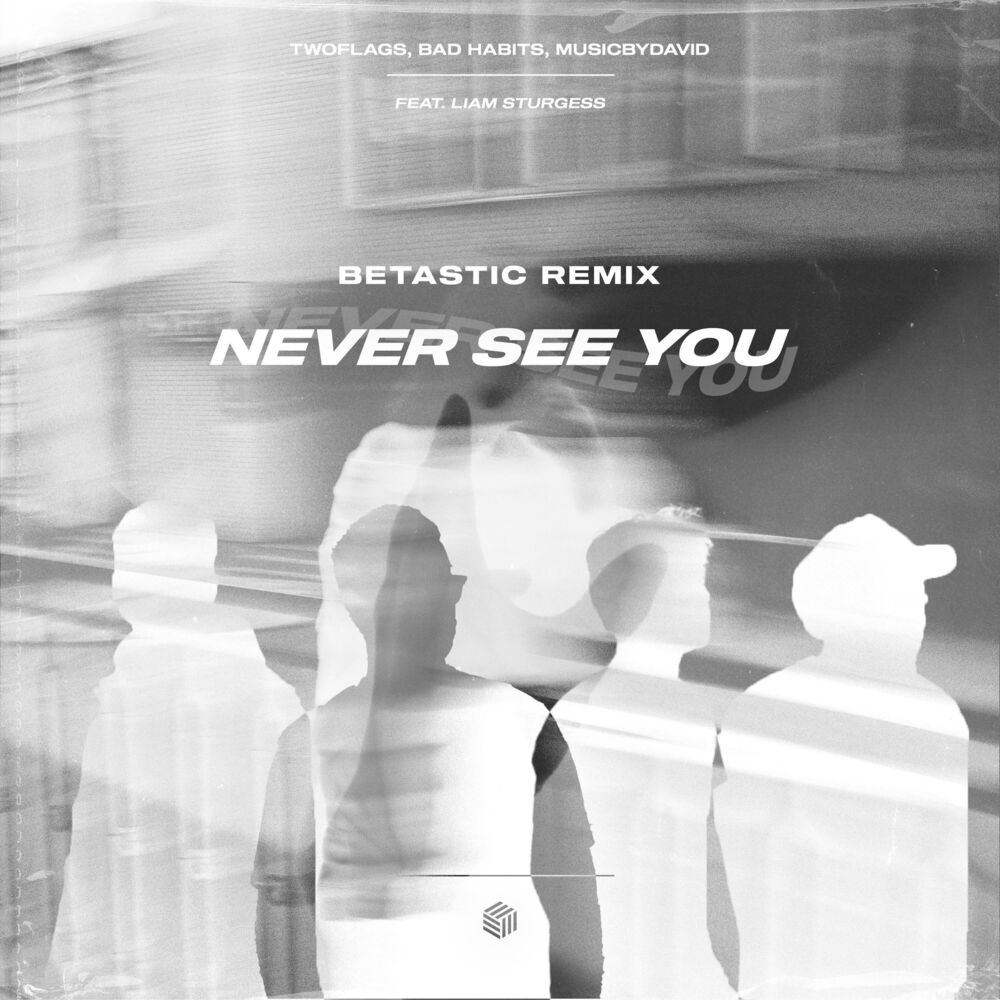 Picture of Never See You (BETASTIC Remix)