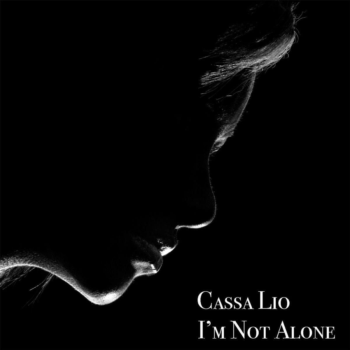 Album cover of I'm Not Alone