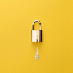 Cover of Phase Lock
