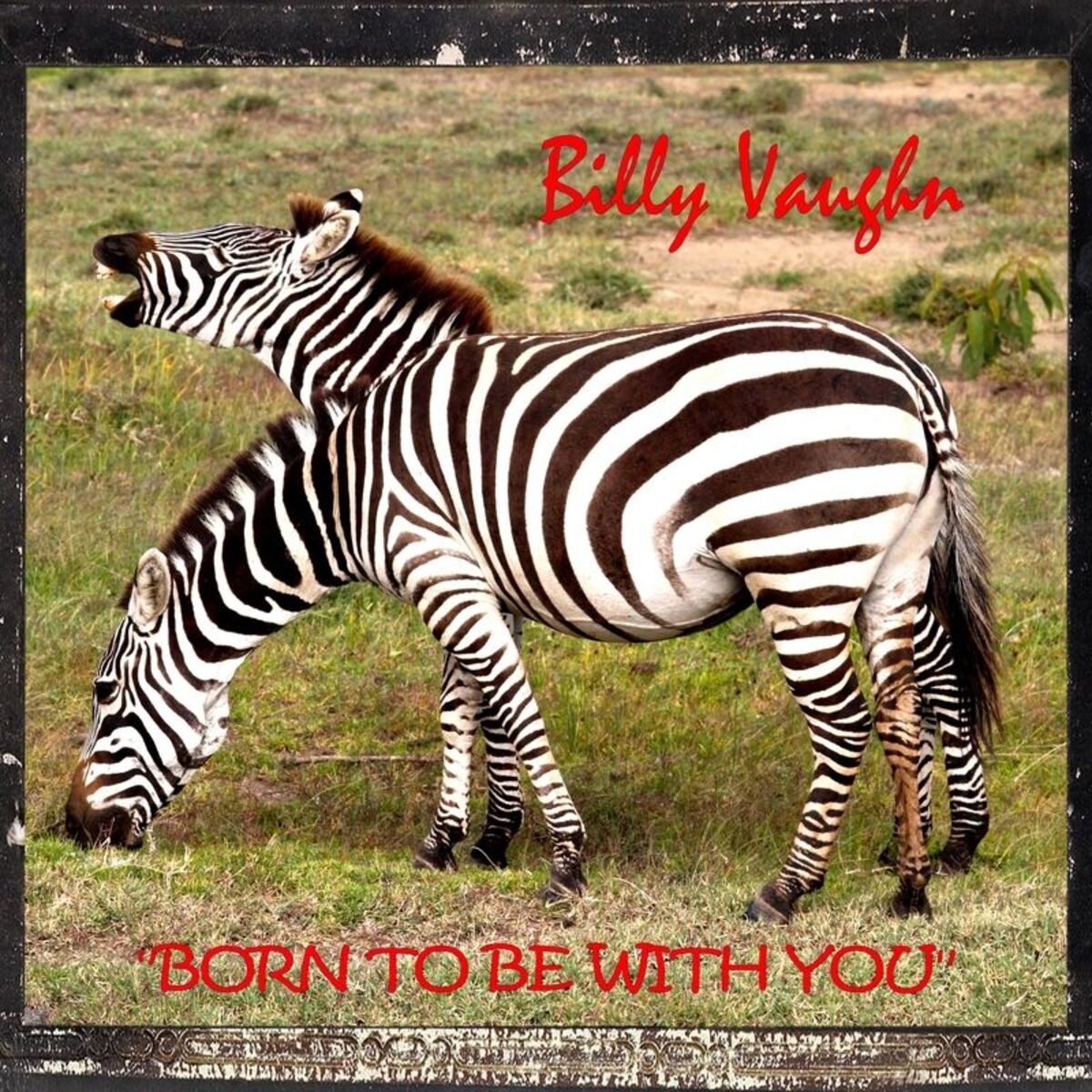Album cover of A Fool Such as I