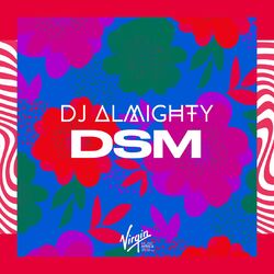 Cover of DSM