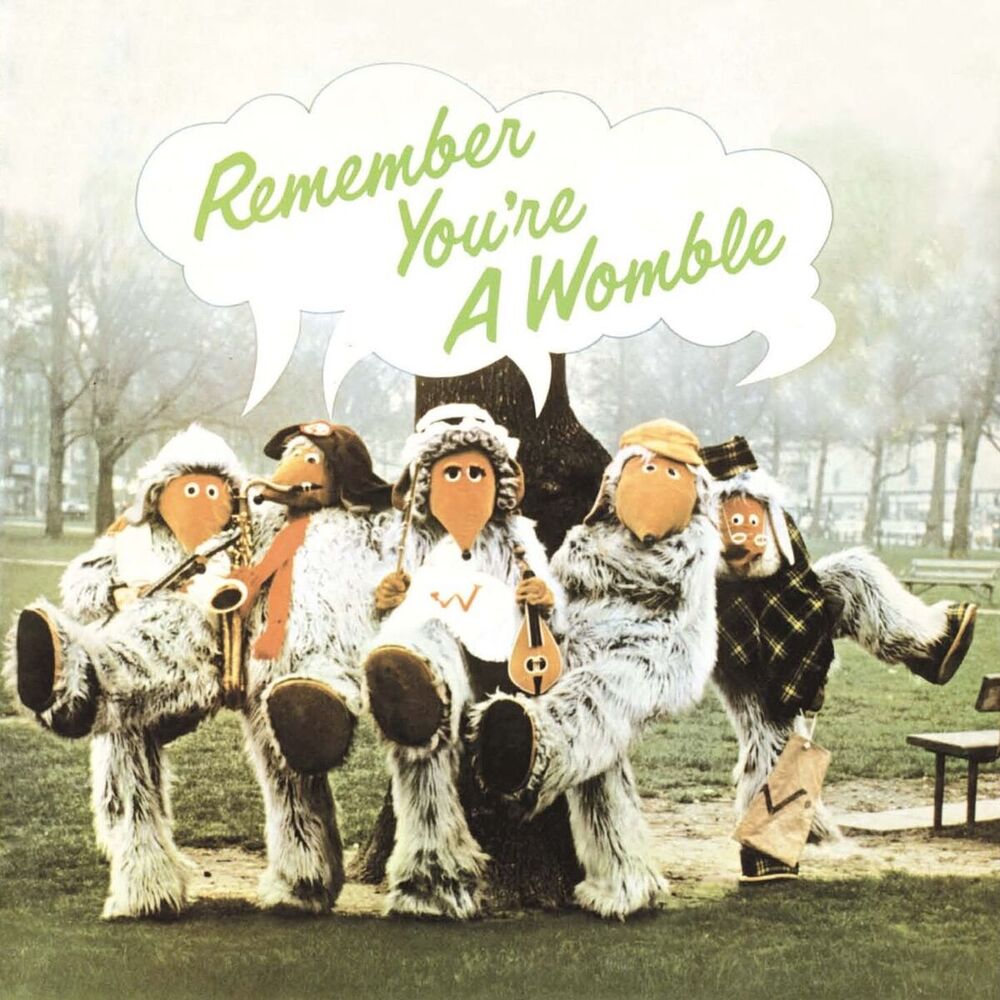 Picture of Remember You're A Womble