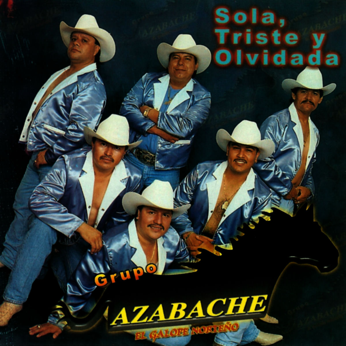 Album cover of Sola, Triste y Olvidada