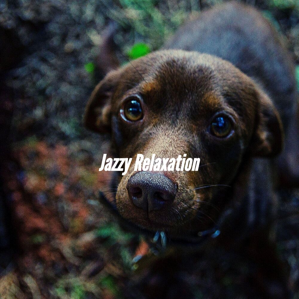 Picture of Jazzy Relaxation