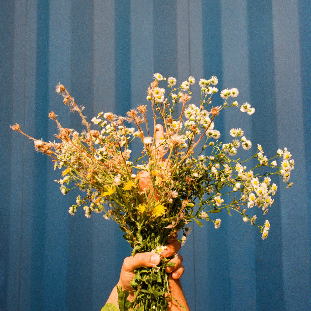 Carson Coma – Gabi borító