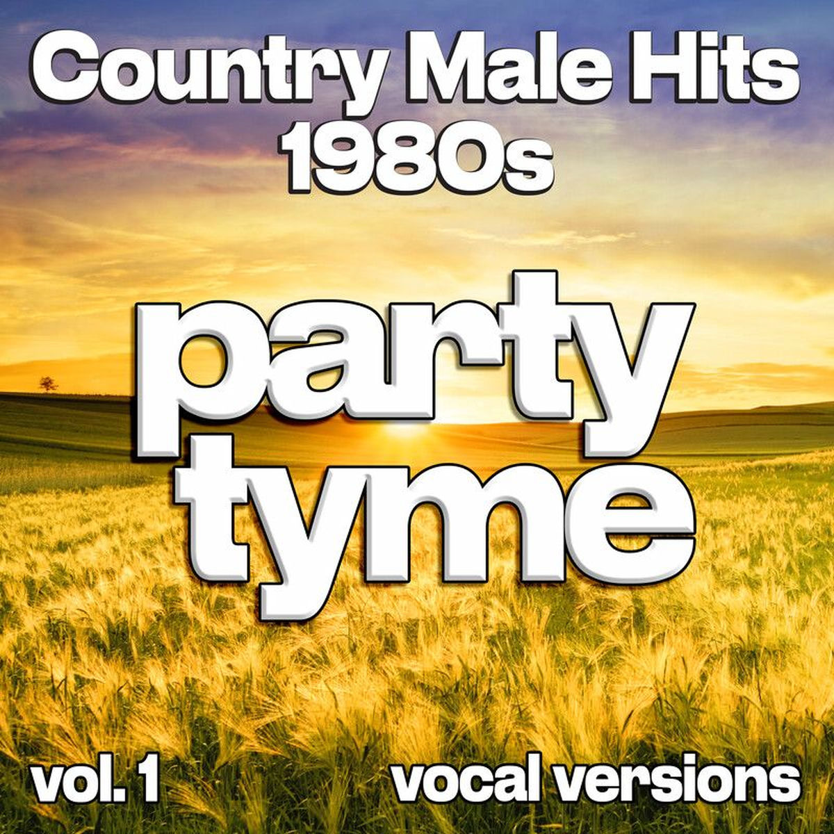 Album cover of Country Male Hits 1980s, Vol. 1 (vocal)
